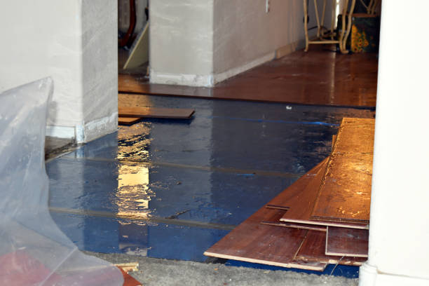 Professional Flood Cleanup technician working in New Era, MI